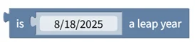 Leap Year Check