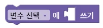 변수 쓰기